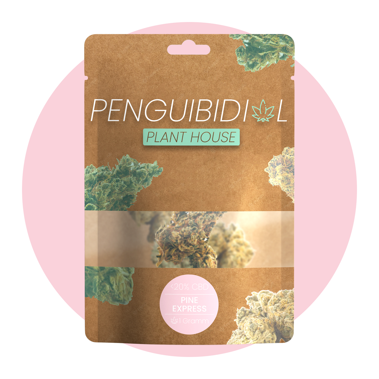 Premium Aromablüte Pine Express | <15% CBD
