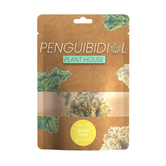 Premium Aromablüte Lemon Haze | <15% CBD