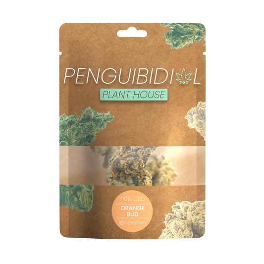 Premium Aromablüte Orange Bud | <17% CBD