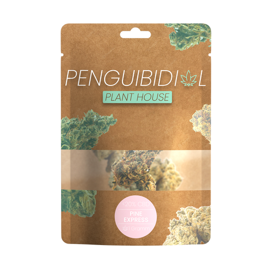 Premium Aromablüte Pine Express | <15% CBD