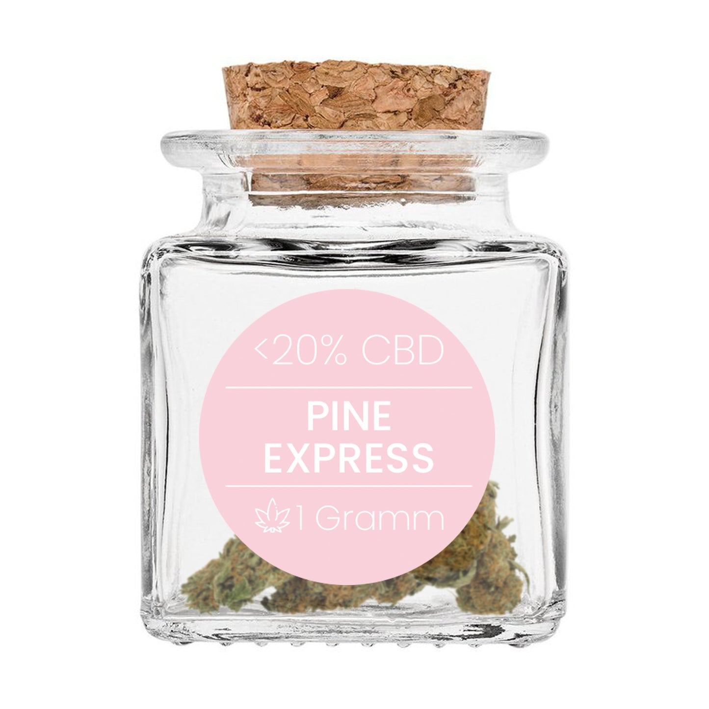 Ersatzglas Pine Express