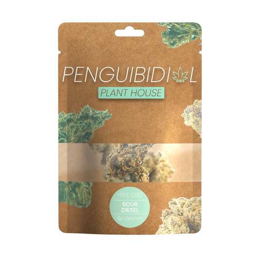 Premium Aromablüte Sour Diesel | <19% CBD