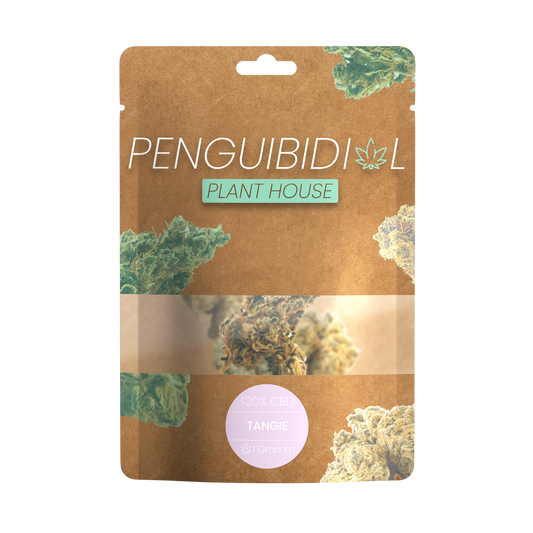 Premium Aromablüte Tangie | <20% CBD