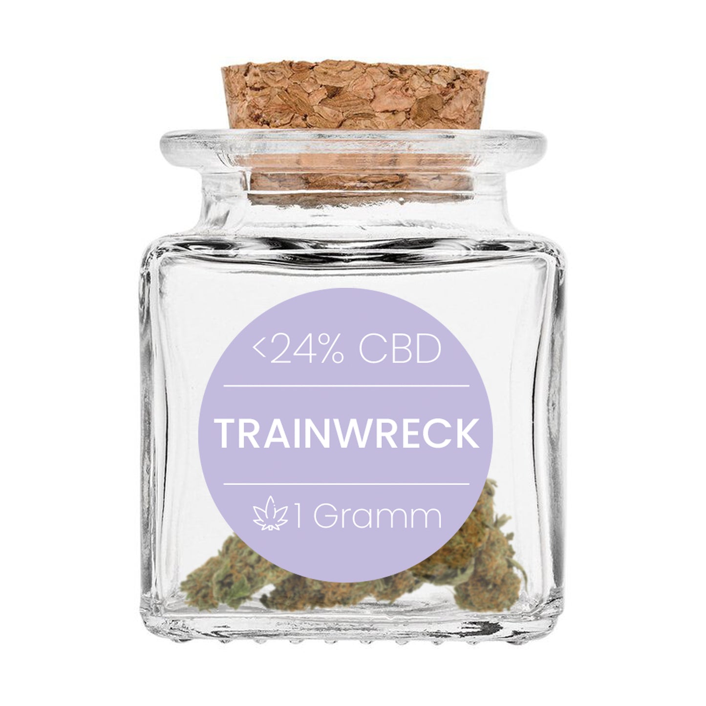 Ersatzglas Trainwreck